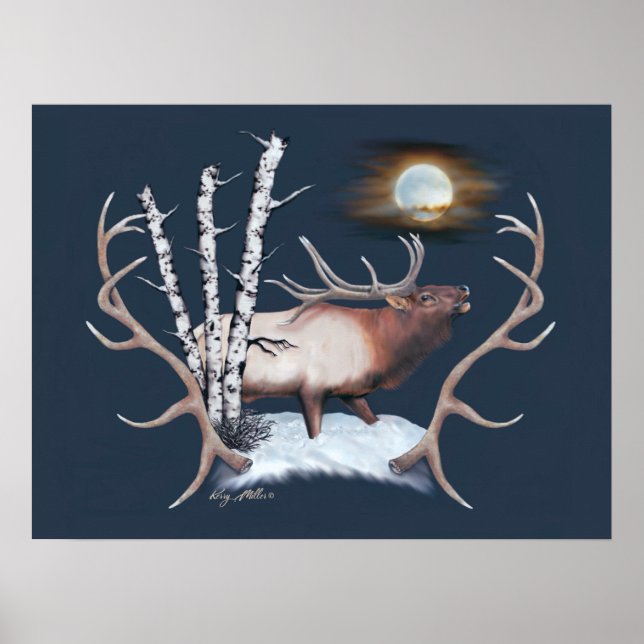 Majestic Bull Elk schluckt im Mondlicht Poster (Vorne)