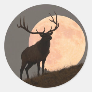 Majestic Bull Elk und Vollmond-Aufstieg Runder Aufkleber