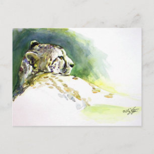 Majestic Cheetah Postcard Postkarte