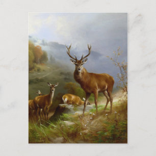 Majestic Deer ~ Postkarte
