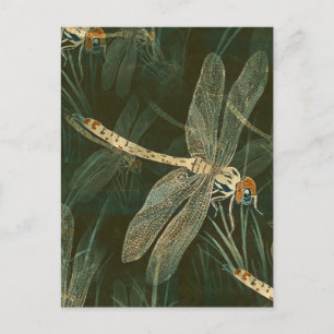 Majestic Dragonfly Pattern Postkarte