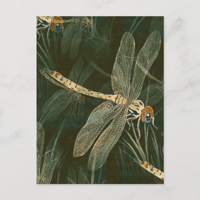 Majestic Dragonfly Pattern Postkarte (Vorderseite)