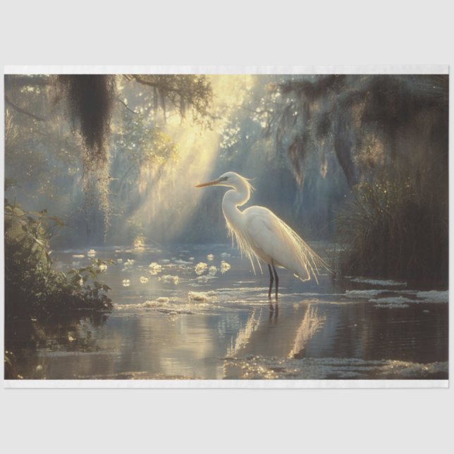 Majestic Egret Stehend in einem sonnigen Sumpf Seidenpapier (Vorderseite)