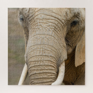 Majestic Elephant Nah-Up Nature's Riesen