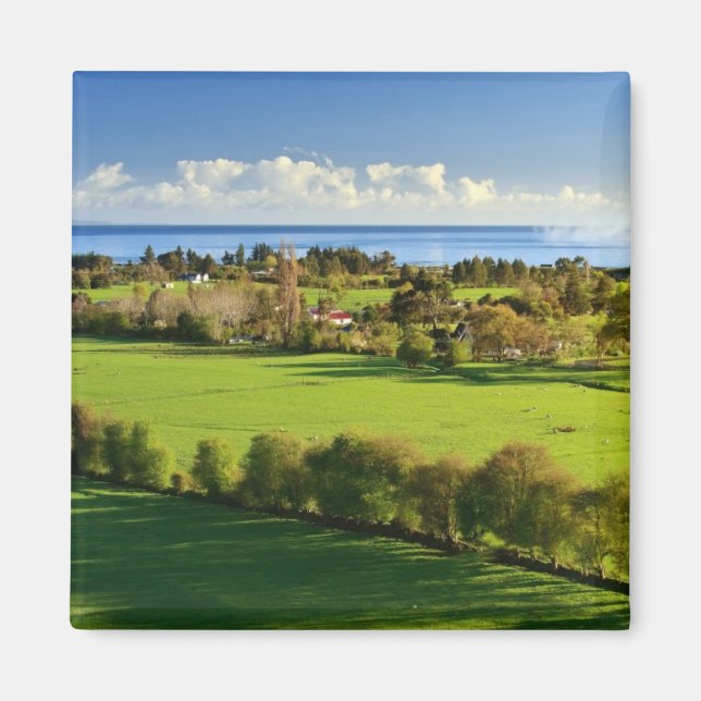Majestic Fields Magnet (Vorne)