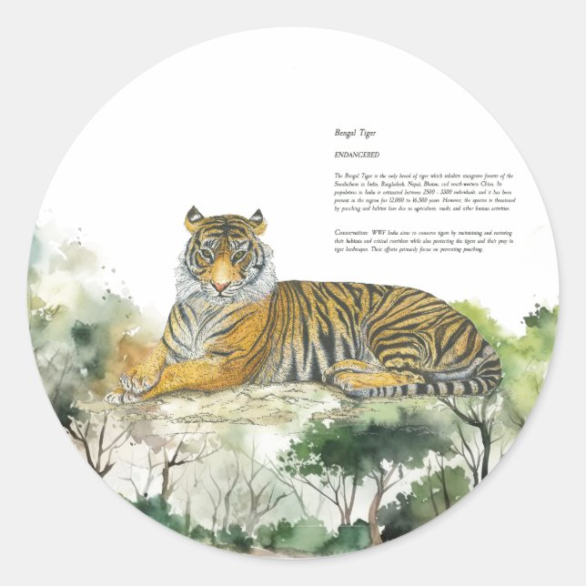 Majestic gefährdete Bengalisch Tiger handbemalt Runder Aufkleber (Vorderseite)