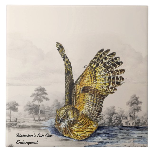 Majestic gefähred Blakiston's Fish Owl (Bird) Fliese (Vorderseite)