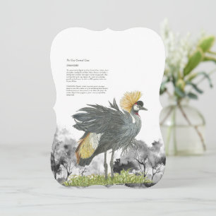 Majestic gefähred Gray Crowned Crane