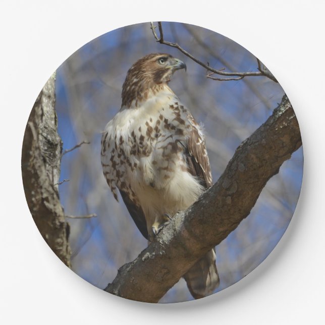 Majestic Hawk Pappteller (Vorderseite)