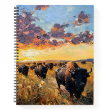 Majestic Herde: Buffalo unter einem Sonnenuntergan
