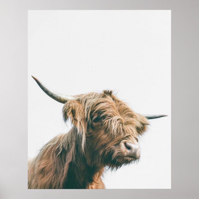 Majestic Hochland-Kuh-Portrait Poster (Vorne)