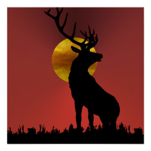 Majestic Horned Dee im Goldenen Sonnenlicht Poster