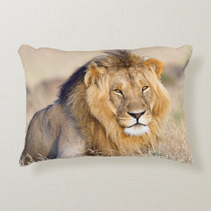 Majestic lion Foto Dekokissen