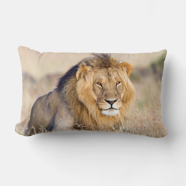 Majestic lion Foto Lendenkissen (Vorderseite)