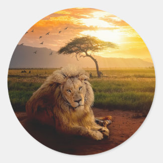 Majestic Lion in Afrika bei Sonnenuntergang Runder Aufkleber