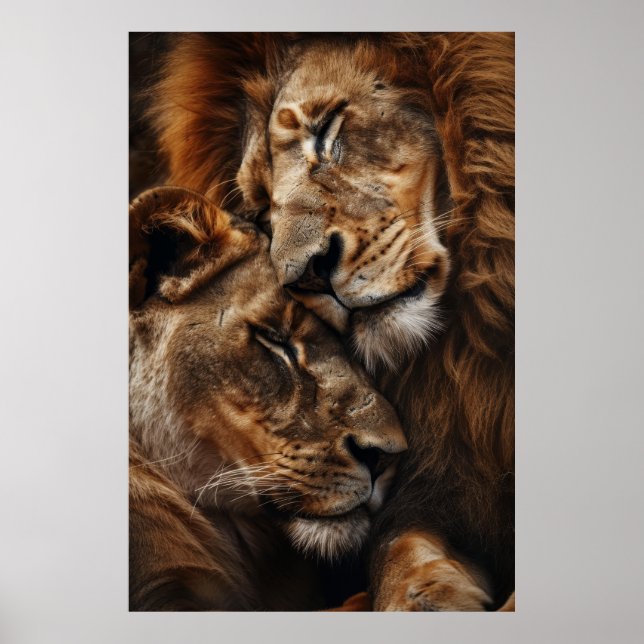 Majestic Lion und Lioness Cuddling Fotorealismus S Poster (Vorne)