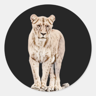 Majestic Lioness Runder Aufkleber
