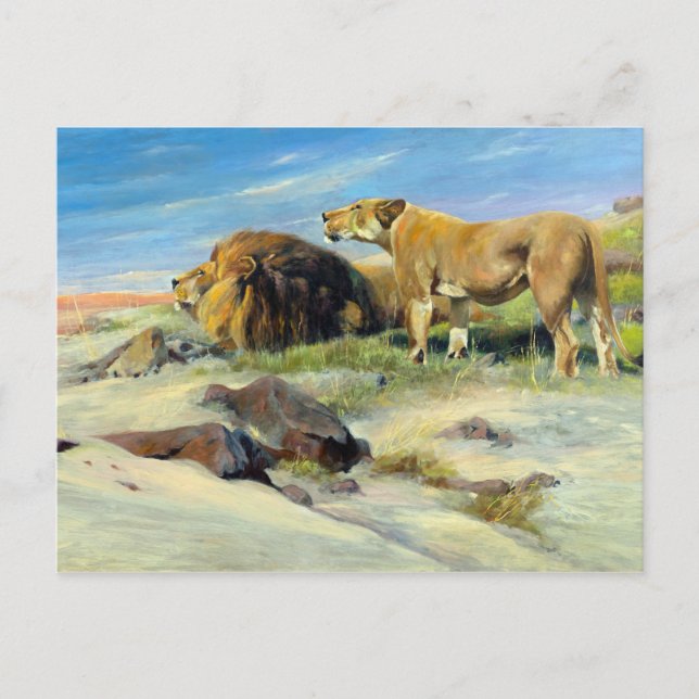 Majestic Lions Vintag Natureainting Postkarte (Vorderseite)