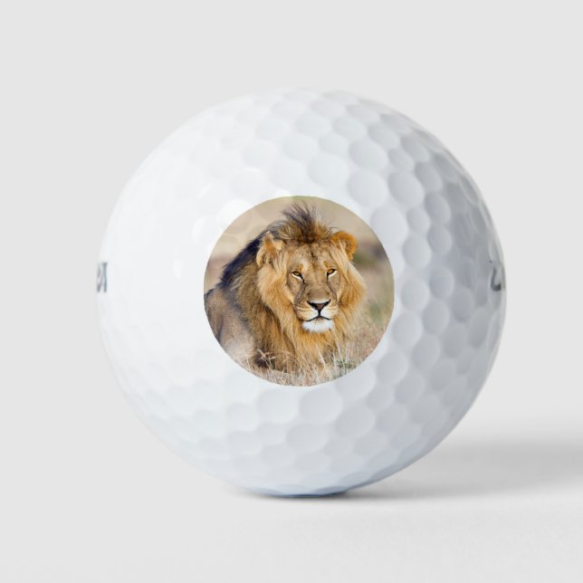 Majestic Löwe-Foto Golfball (Vorderseite)