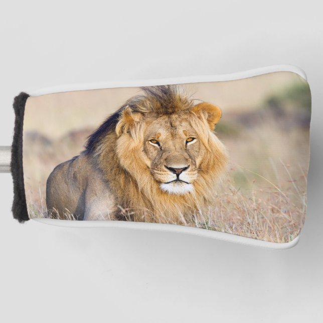 Majestic Löwe Wildtier-Foto Golf Headcover (Vorderseite)