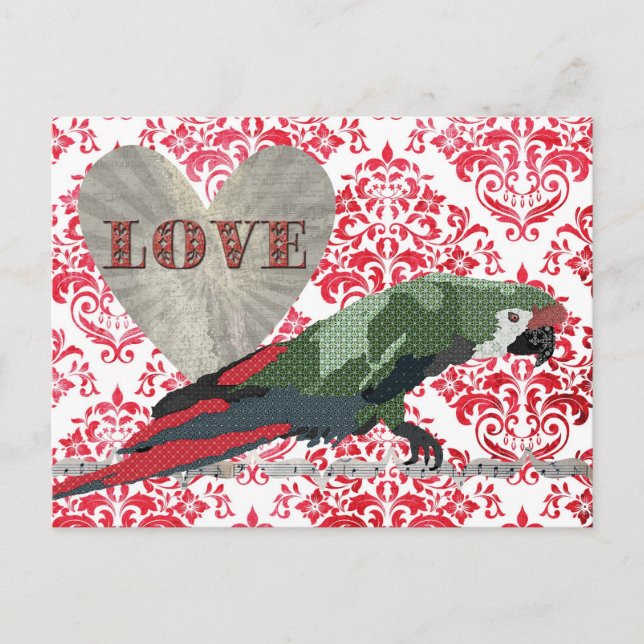 Majestic Macaw Liebe Damask Postkarte (Vorderseite)