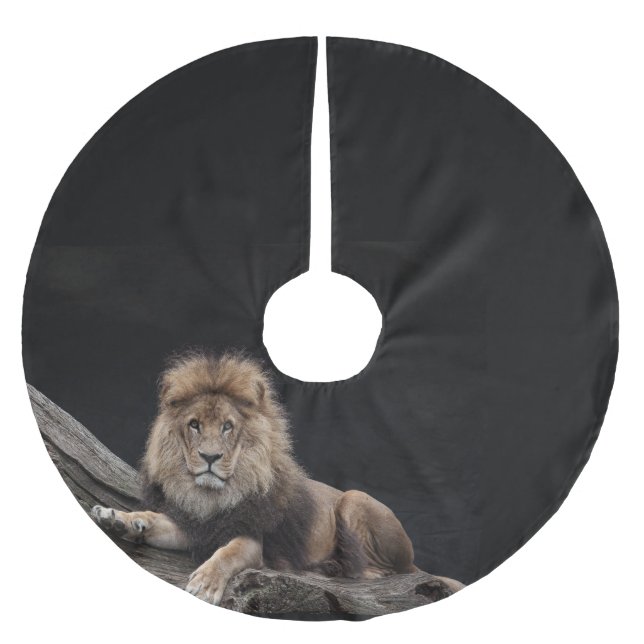 Majestic Männliche Löwe im Zoo Polyester Weihnachtsbaumdecke (Vorderseite)