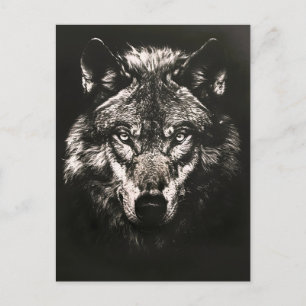 Majestic Monochrome Wild Wolf Ankündigungspostkarte