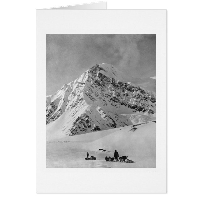 Majestic Mt. McKinley 1908 (Devant)