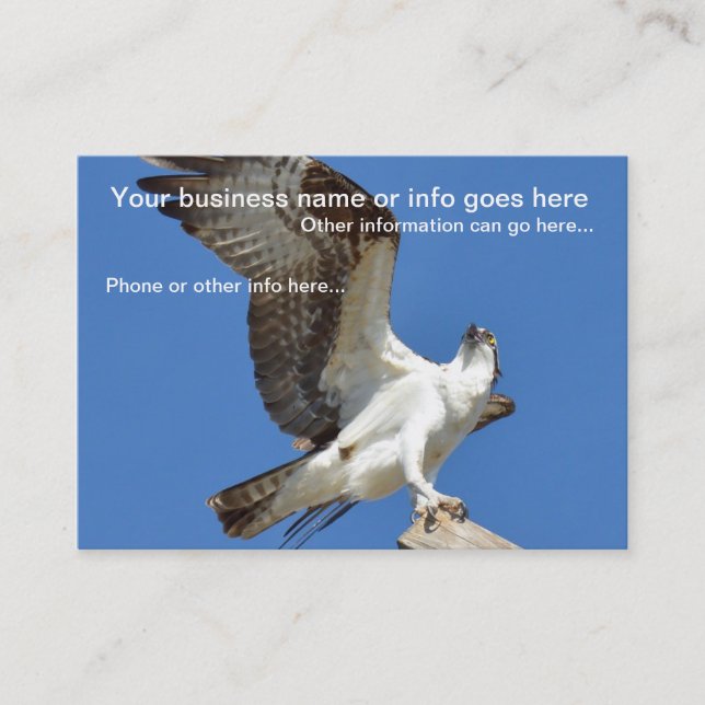 Majestic Osprey bird Business Cards Visitenkarte (Vorderseite)