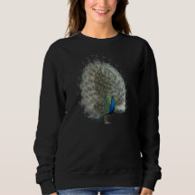 Majestic Peacock mit farbenprächtigem Schwanz