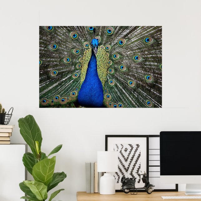 Majestic Peacock Poster (Heimbüro)