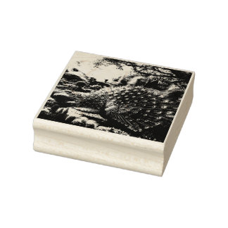 Majestic Peacock Wood Art Briefmarke Gummistempel