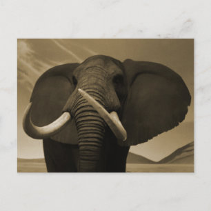 Majestic Postkarte