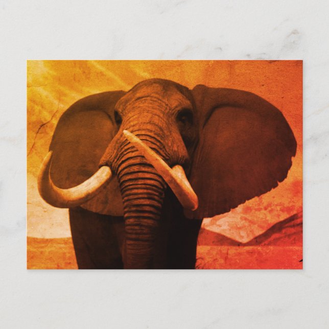 Majestic Postkarte (Vorderseite)