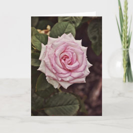 Majestic Rose Scripture Card Psalm 93:1 Karte