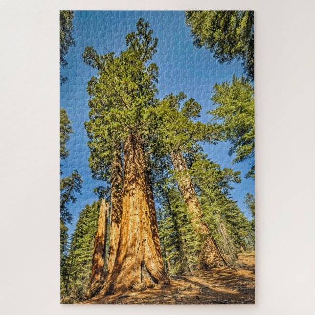 Majestic Sequoia Trees (Vertikal)