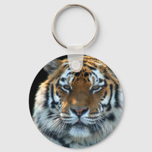 Majestic Sumatran Tiger Schlüsselanhänger