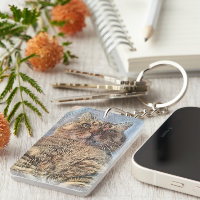 Majestic Tiger Cat  (Devant droit)