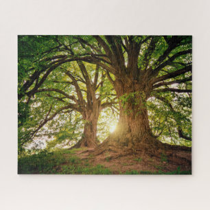 Majestic Trees Jigsaw Puzzle