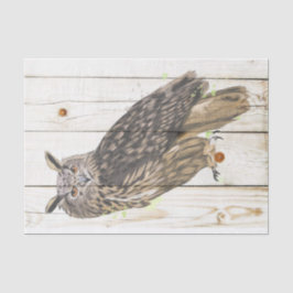Majestic Uhu auf verblassten Holzplanken Seidenpapier