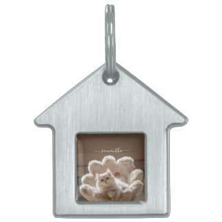 Majestic white cat lover tiermarke