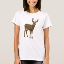MAJESTIC WHITE-TAILED DEER. SAMER BRASIL