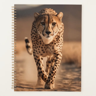 Majestic Wild Cheetah Running Photo