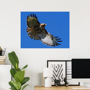 Majestic Wings gerahmter Druck Poster