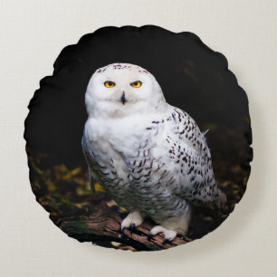 Majestic winter snowy owl rundes kissen