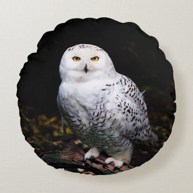 Majestic winter snowy owl rundes kissen (Vorderseite)