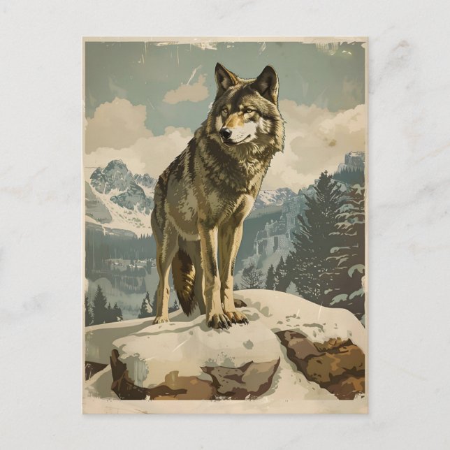 Majestic Wolf auf Snowy Rock Postkarte (Vorderseite)