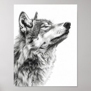 Majestic Wolf Staring auf Sky Sketch Poster