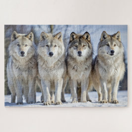 Majestic Wolves in Snowy Landschaft, Wildnis