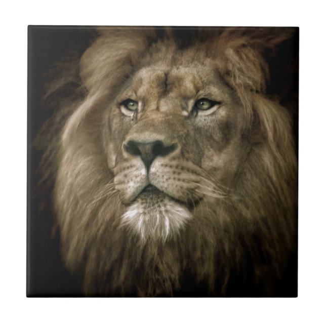 Majesty.jpg Fliese (Vorderseite)